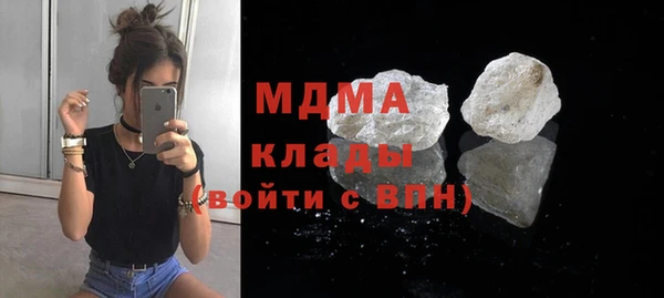 индика Алексин