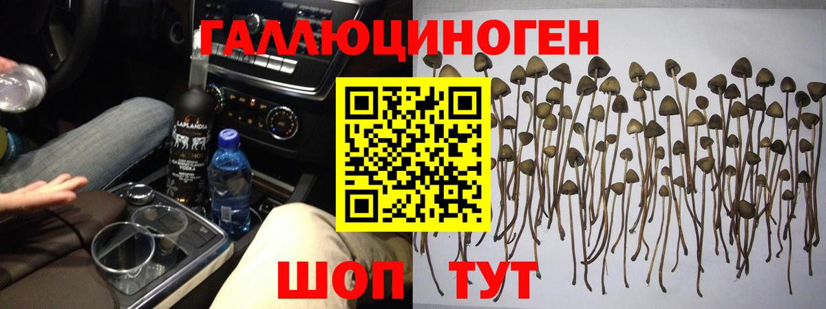 Псилоцибиновые грибы MAGIC MUSHROOMS  Псилоцибиновые грибы Magic Shrooms  Вход с VPN  Сатка 