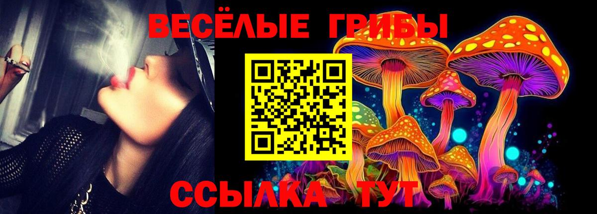 Галлюциногенные грибы прущие грибы Сатка